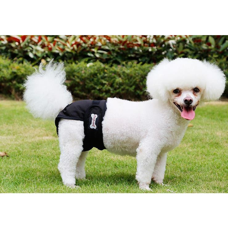 犬用サニタリーパンツ マナーパンツ 生理用パンツ | PlusNao | 詳細画像4 