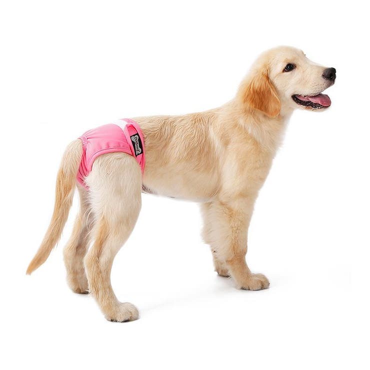 犬用サニタリーパンツ マナーパンツ 生理用パンツ | PlusNao | 詳細画像6 