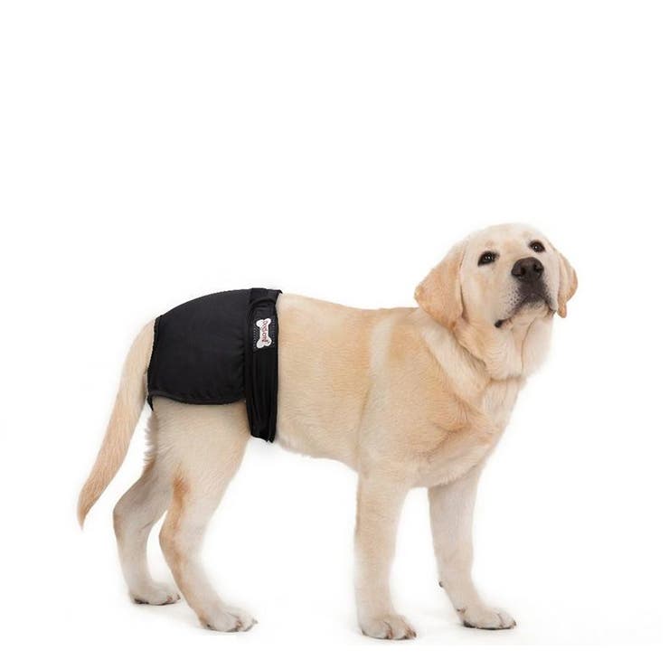 犬用サニタリーパンツ マナーパンツ 生理用パンツ | PlusNao | 詳細画像9 