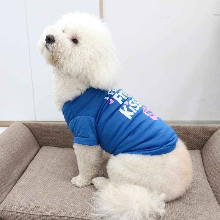 ペット用カットソー Tシャツ ペットウェア | PlusNao | 詳細画像5 