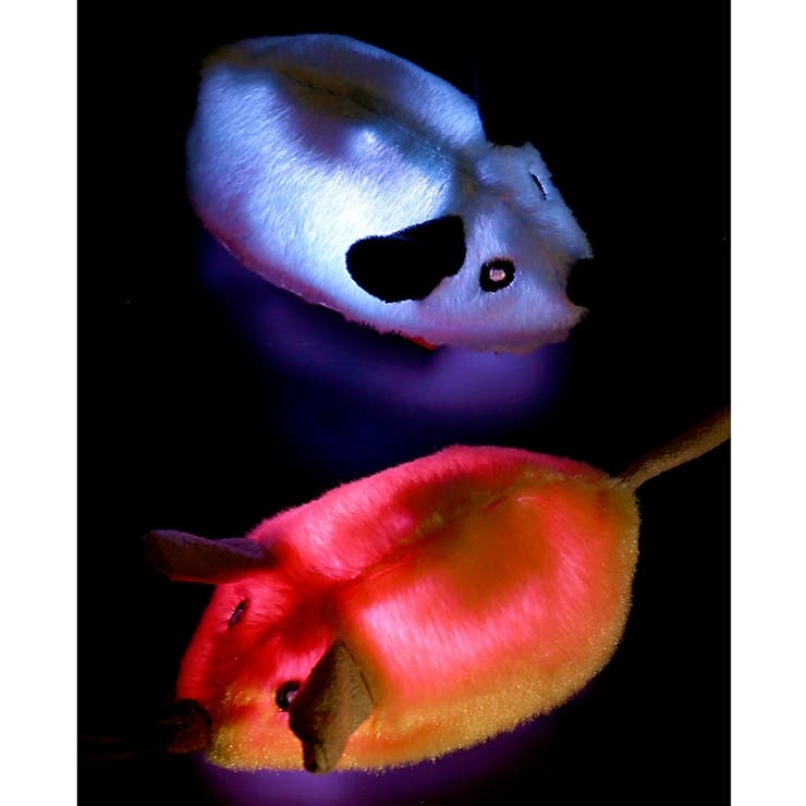 ネズミのおもちゃ ネコ用 猫用 | PlusNao | 詳細画像5 