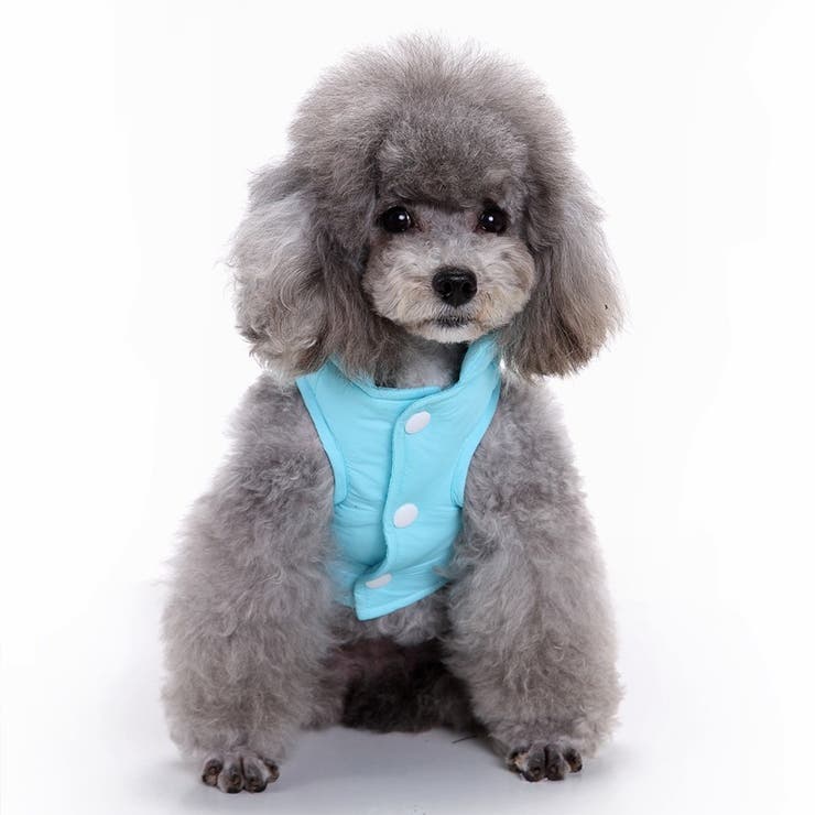 ドッグウェア 中綿入りベスト 犬服 | PlusNao | 詳細画像3 