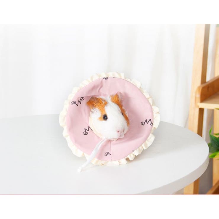 エリザベスカラー 小動物用エリカラ ハムスター | PlusNao | 詳細画像2 