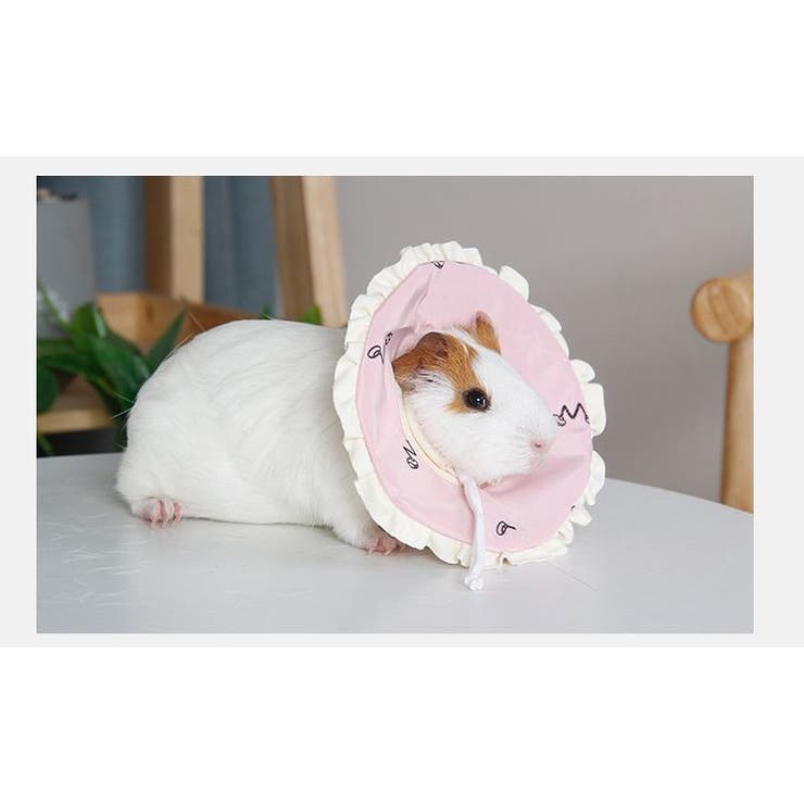 エリザベスカラー 小動物用エリカラ ハムスター | PlusNao | 詳細画像3 