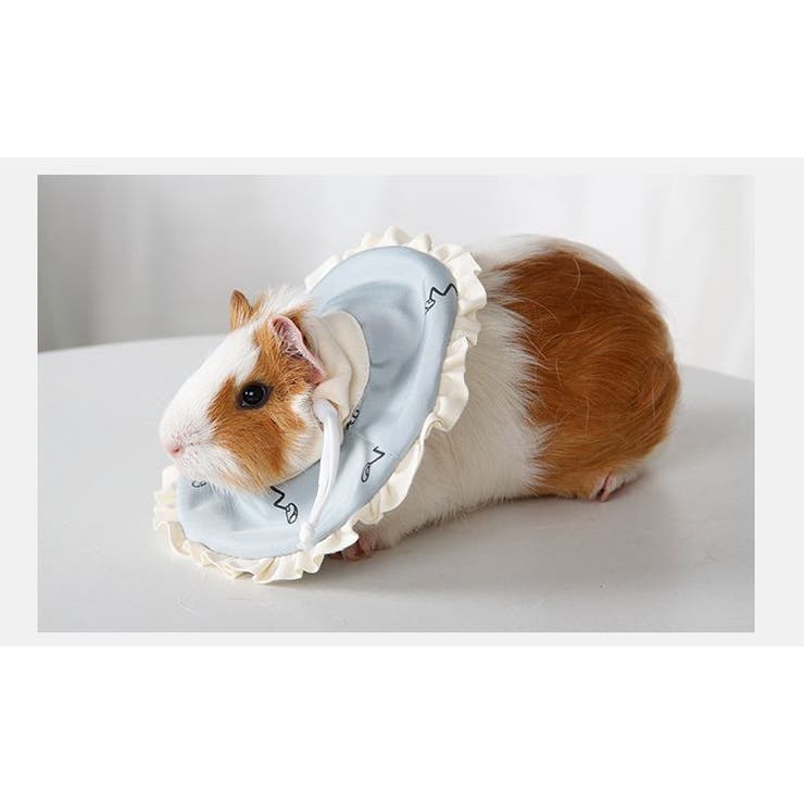 エリザベスカラー 小動物用エリカラ ハムスター | PlusNao | 詳細画像6 