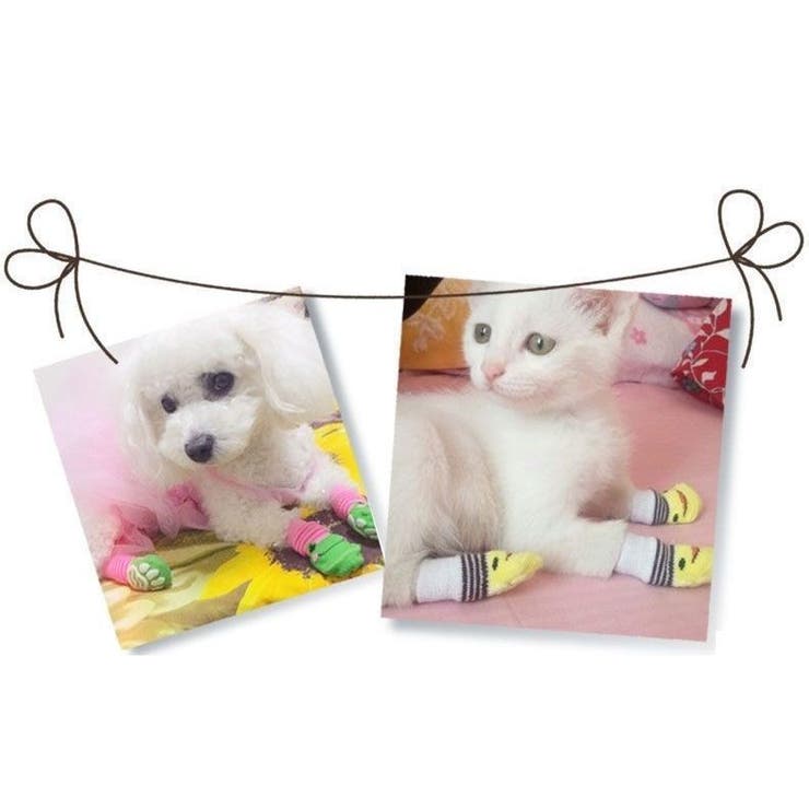犬用靴下 ドッグソックス 4枚セット | PlusNao | 詳細画像3 