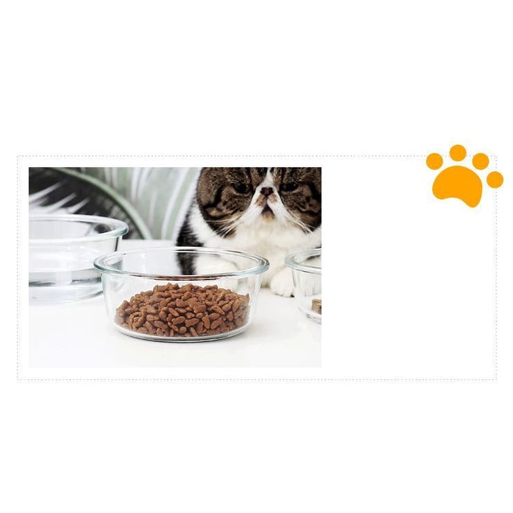ペット用食器 フードボウル 猫用 | PlusNao | 詳細画像12 