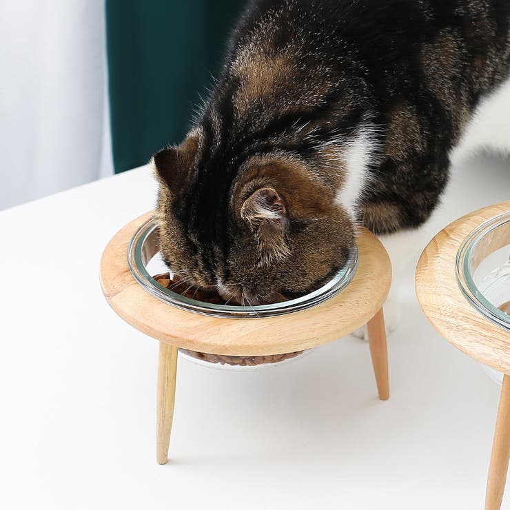 ペット用食器 フードボウル 猫用 | PlusNao | 詳細画像3 
