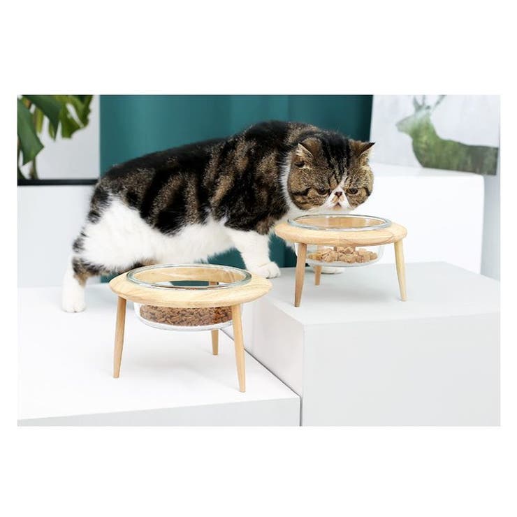 ペット用食器 フードボウル 猫用 | PlusNao | 詳細画像7 