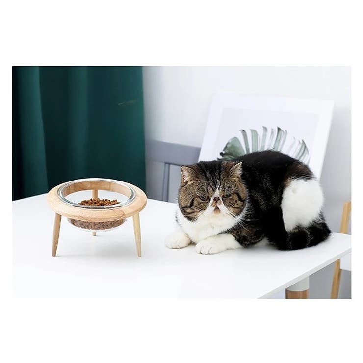 ペット用食器 フードボウル 猫用 | PlusNao | 詳細画像8 