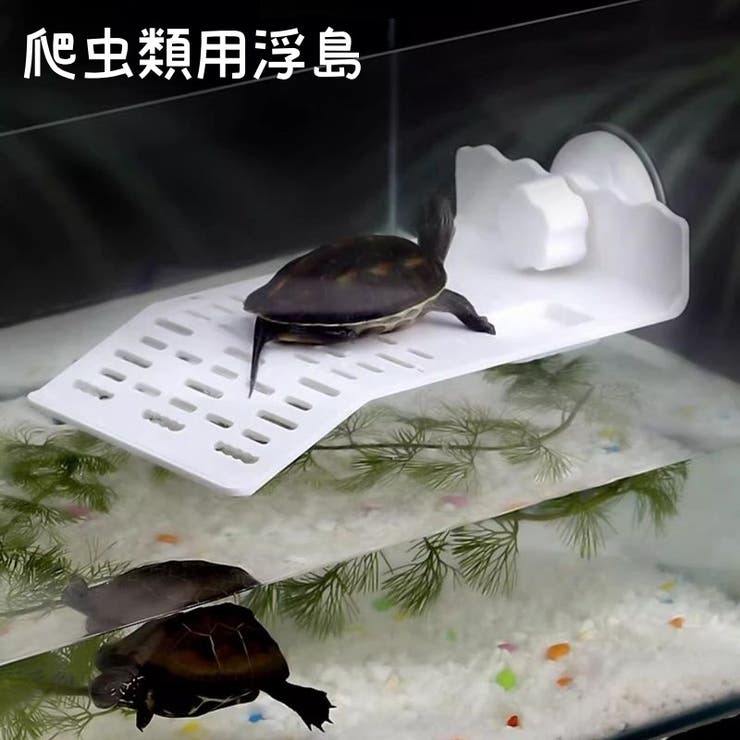爬虫類 浮島 水槽用 | PlusNao | 詳細画像1 