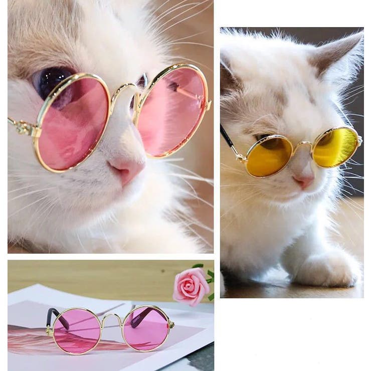 ペット用サングラス 丸メガネ 猫用 | PlusNao | 詳細画像11 