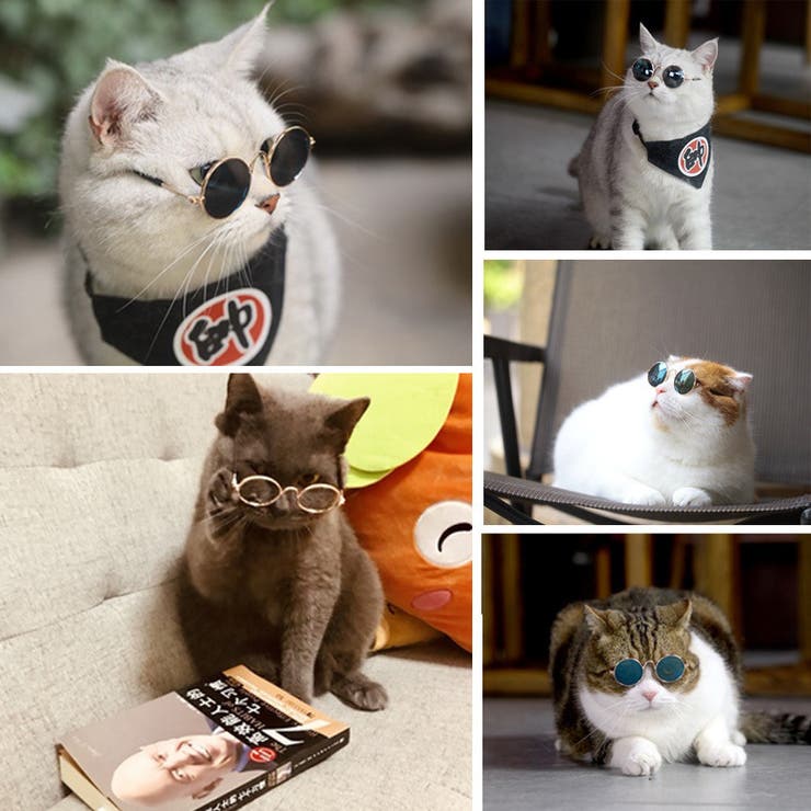 ペット用サングラス 丸メガネ 猫用 | PlusNao | 詳細画像8 