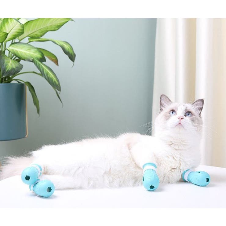 猫用 足カバー 猫靴[品番：FQ000161025]｜PlusNao（プラスナオ
