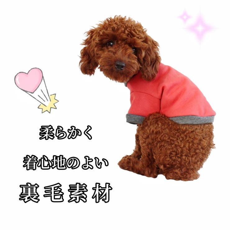 ドッグウェア トレーナー 裏毛 | PlusNao | 詳細画像3 
