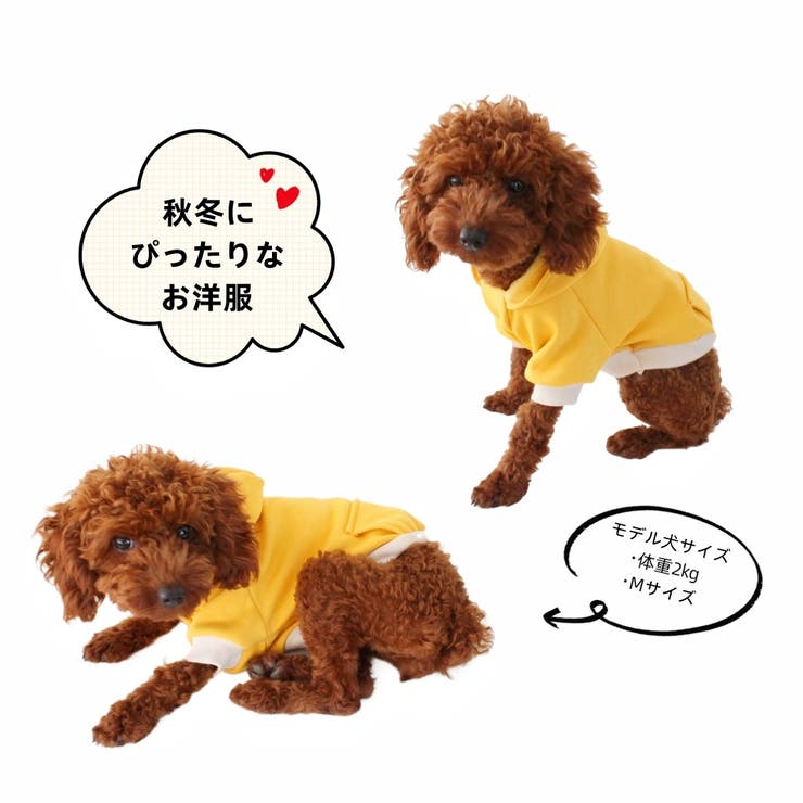 ドッグウェア パーカー あったか裏起毛 | PlusNao | 詳細画像2 