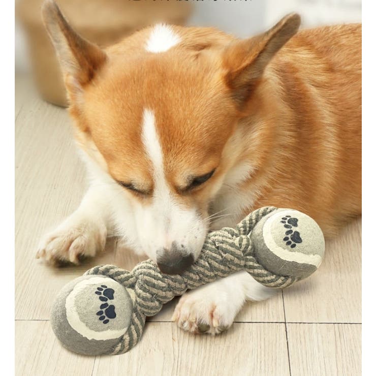 犬用おもちゃ ペット おもちゃ | PlusNao | 詳細画像3 