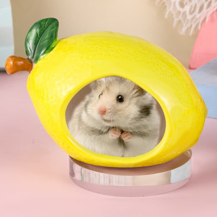 小動物用ハウス ハムスターハウス ペット用品 | PlusNao | 詳細画像2 