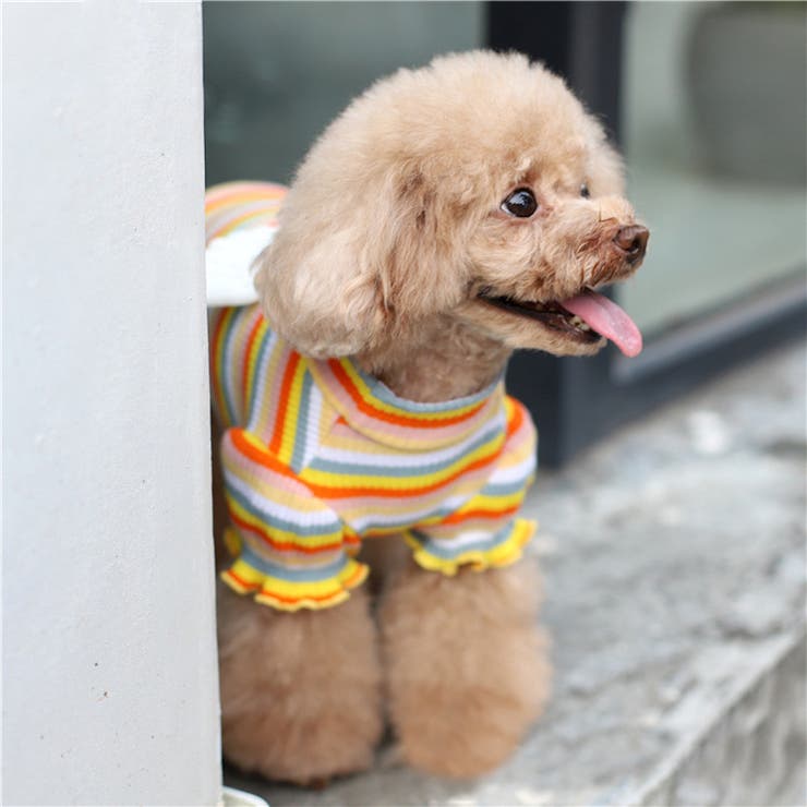 ペットウェア カットソー 犬服 | PlusNao | 詳細画像10