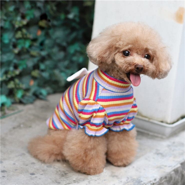 ペットウェア カットソー 犬服 | PlusNao | 詳細画像5