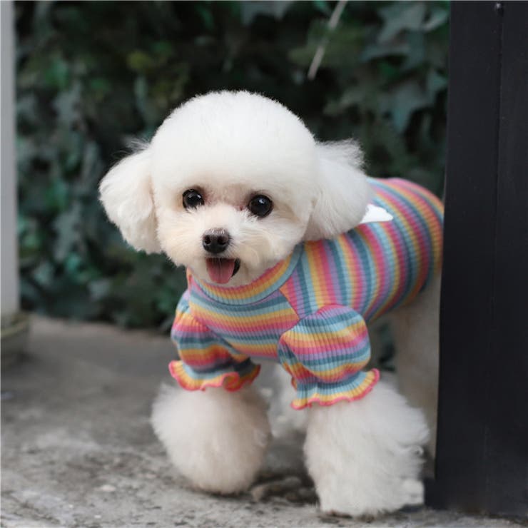 ペットウェア カットソー 犬服 | PlusNao | 詳細画像8