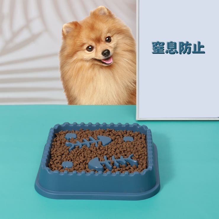 犬用食器 ペットフードボウル スローフードボウル | PlusNao | 詳細画像4 