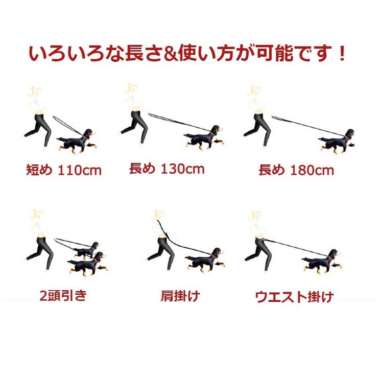 リード 犬用 小型犬[品番：FQ000161590]｜PlusNao（プラスナオ
