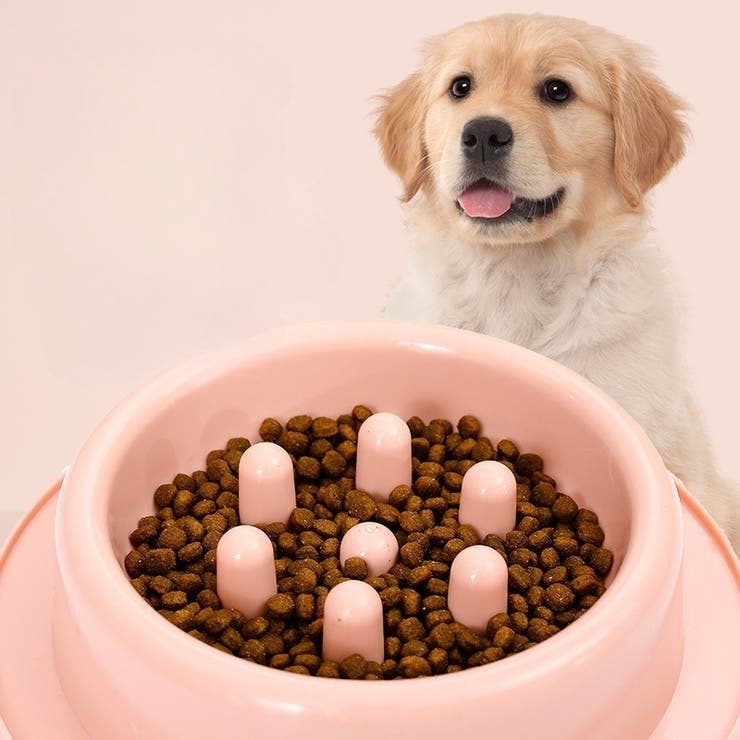 フードボウル 餌入れ 犬用 | PlusNao | 詳細画像5 