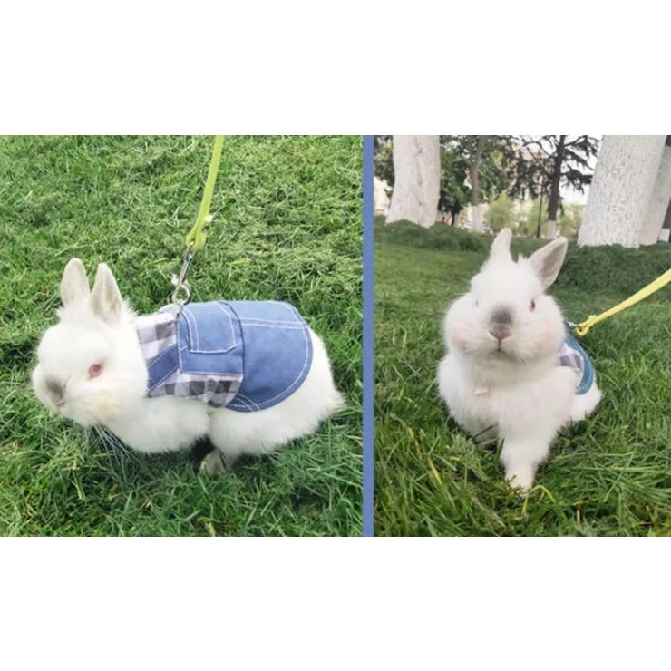 ペットウェア 小動物用ハーネスリードセット うさぎ | PlusNao | 詳細画像10 