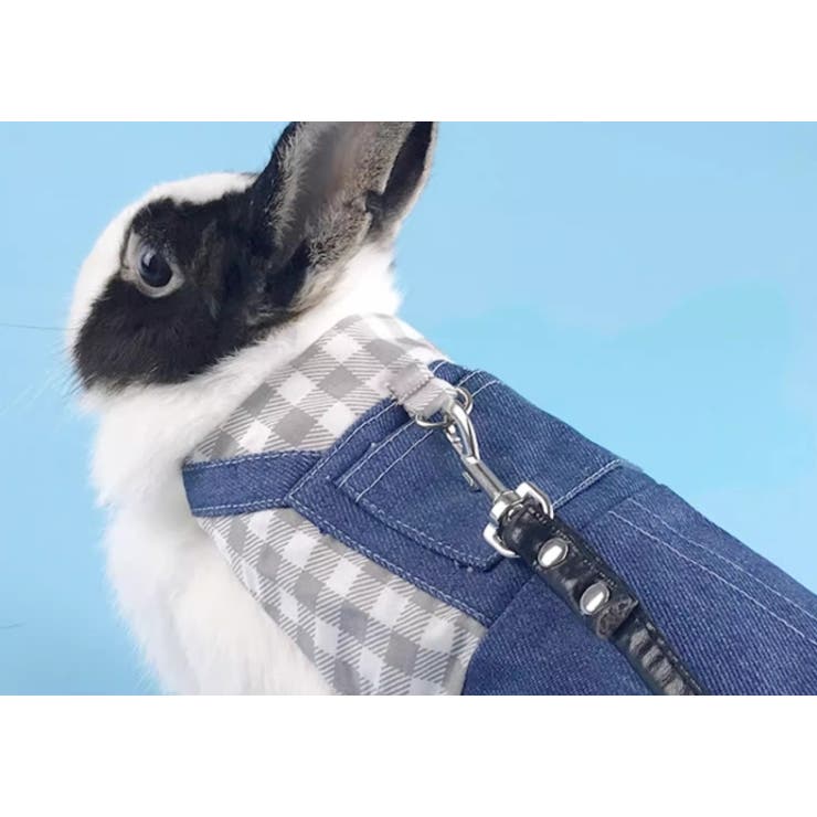 ペットウェア 小動物用ハーネスリードセット うさぎ | PlusNao | 詳細画像5 