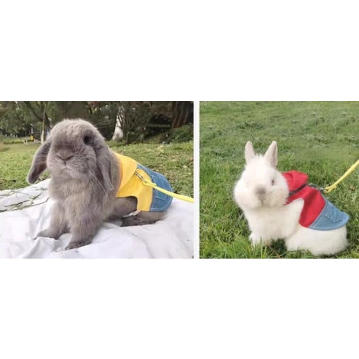 ペットウェア 小動物用ハーネスリードセット うさぎ | PlusNao | 詳細画像9 