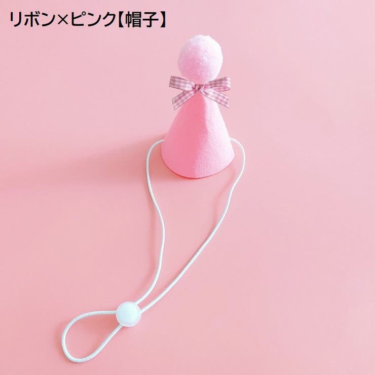 ペット用 バースデー 誕生日 | PlusNao | 詳細画像9 