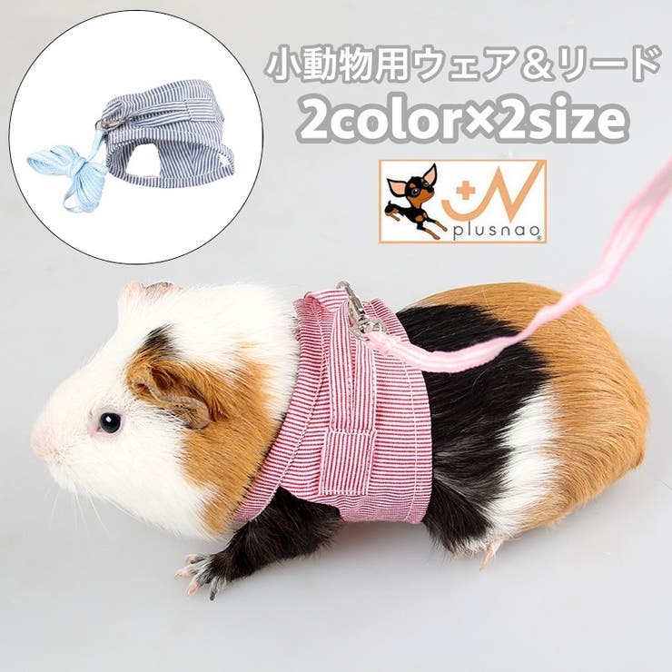 小動物用 ペットウェア リード | PlusNao | 詳細画像1 