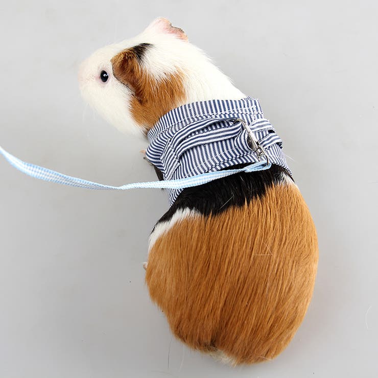 小動物用 ペットウェア リード | PlusNao | 詳細画像4 