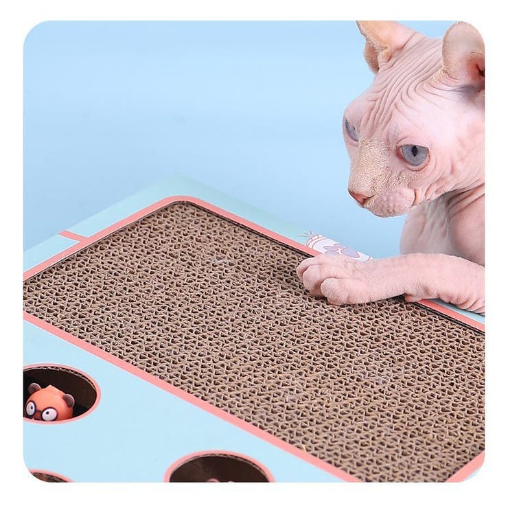 猫 おもちゃ もぐらたたき | PlusNao | 詳細画像11 