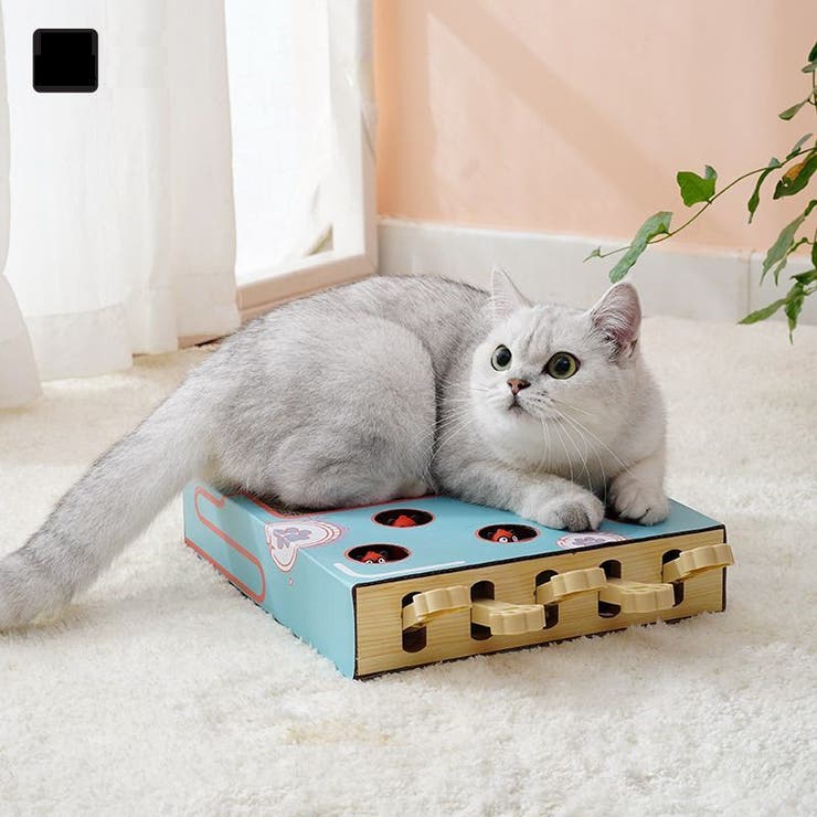 猫 おもちゃ もぐらたたき | PlusNao | 詳細画像5 