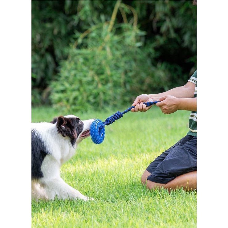 犬用おもちゃ 噛むおもちゃ ラバートーイ | PlusNao | 詳細画像2 
