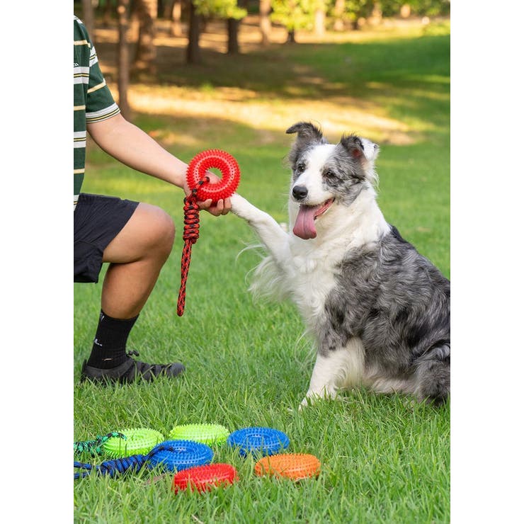 犬用おもちゃ 噛むおもちゃ ラバートーイ | PlusNao | 詳細画像3 