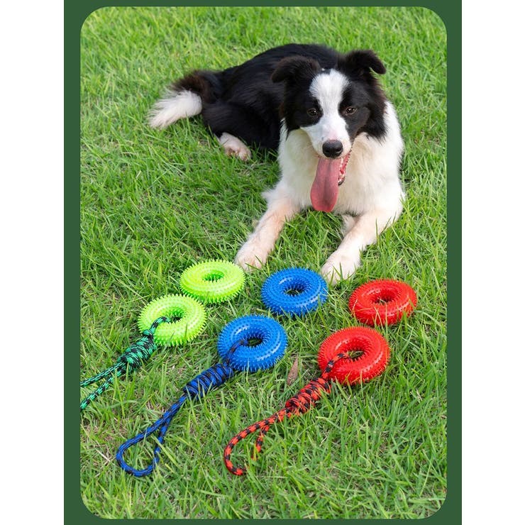 犬用おもちゃ 噛むおもちゃ ラバートーイ | PlusNao | 詳細画像4 