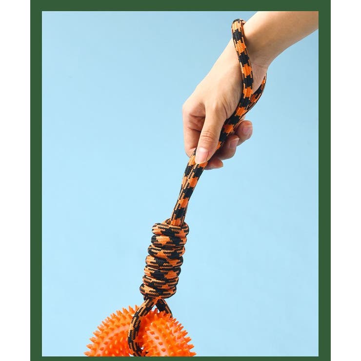 犬用おもちゃ 噛むおもちゃ ラバートーイ | PlusNao | 詳細画像5 