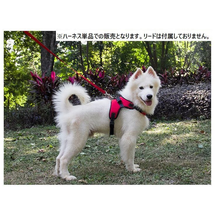 ハーネス 単品 胴輪 | PlusNao | 詳細画像2 