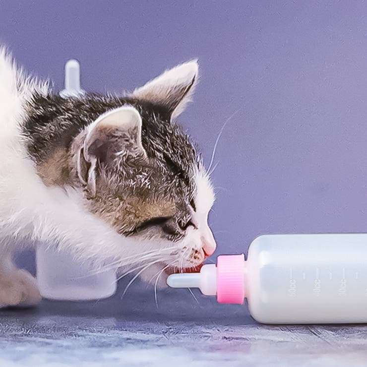 ペット用哺乳瓶 哺乳器 50ml | PlusNao | 詳細画像3 