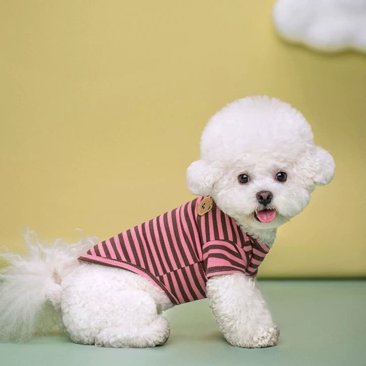 ペットウェア Tシャツ 犬服 | PlusNao | 詳細画像2 