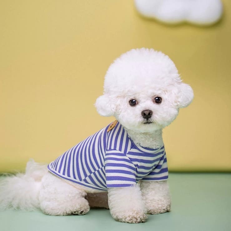 ペットウェア Tシャツ 犬服 | PlusNao | 詳細画像3 
