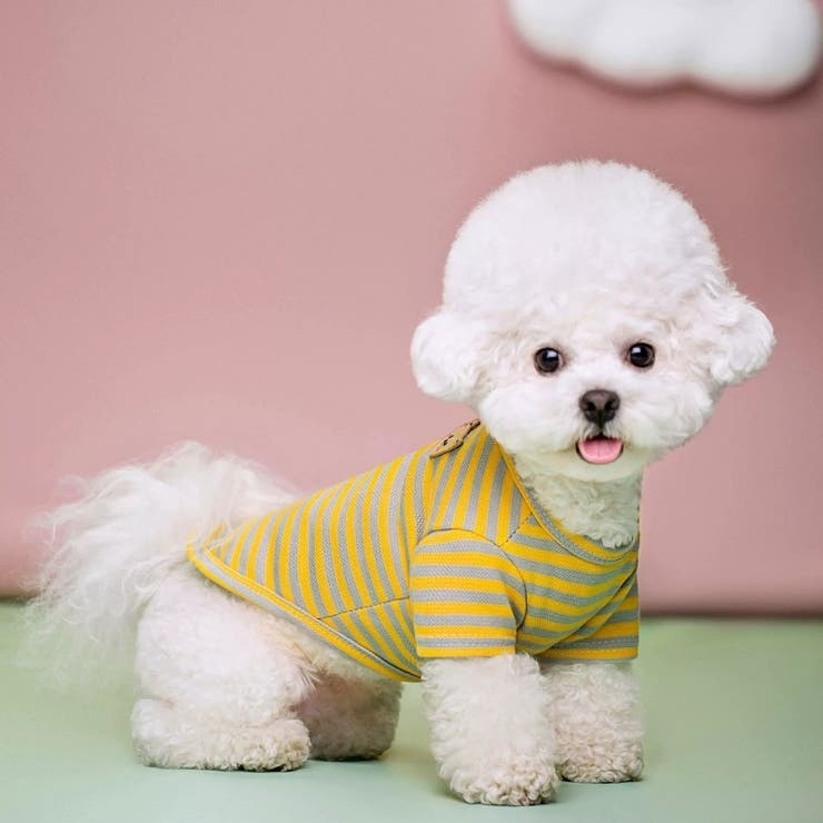ペットウェア Tシャツ 犬服 | PlusNao | 詳細画像4 