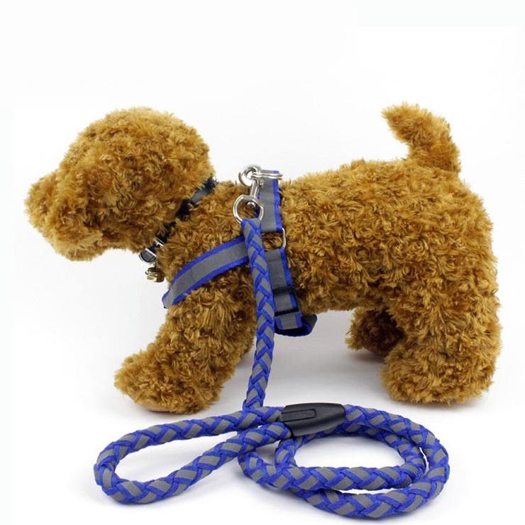 ハーネス リード 2点セット | PlusNao | 詳細画像2 