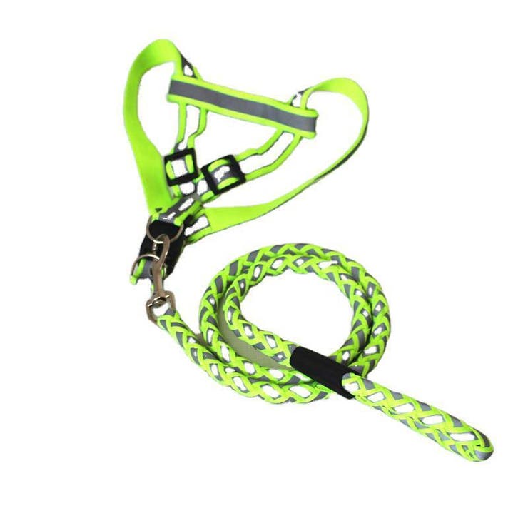 ハーネス リード 2点セット | PlusNao | 詳細画像6 