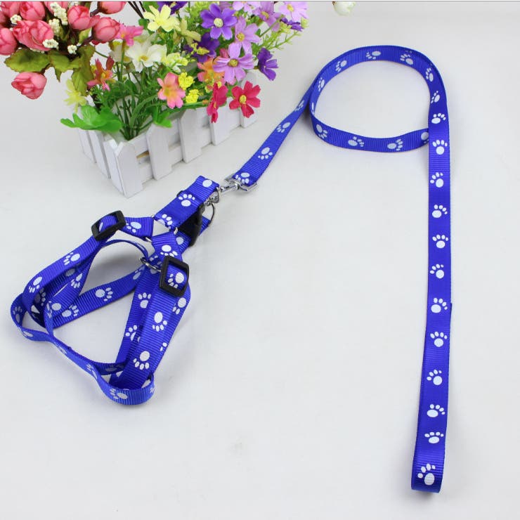 ハーネス リード 2点セット | PlusNao | 詳細画像2 