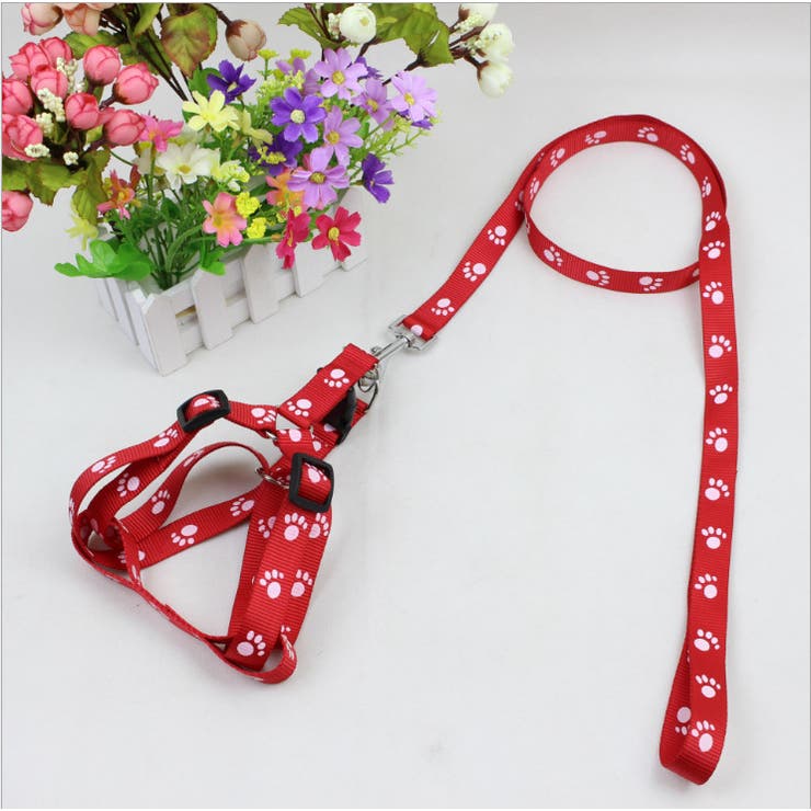 ハーネス リード 2点セット | PlusNao | 詳細画像4 