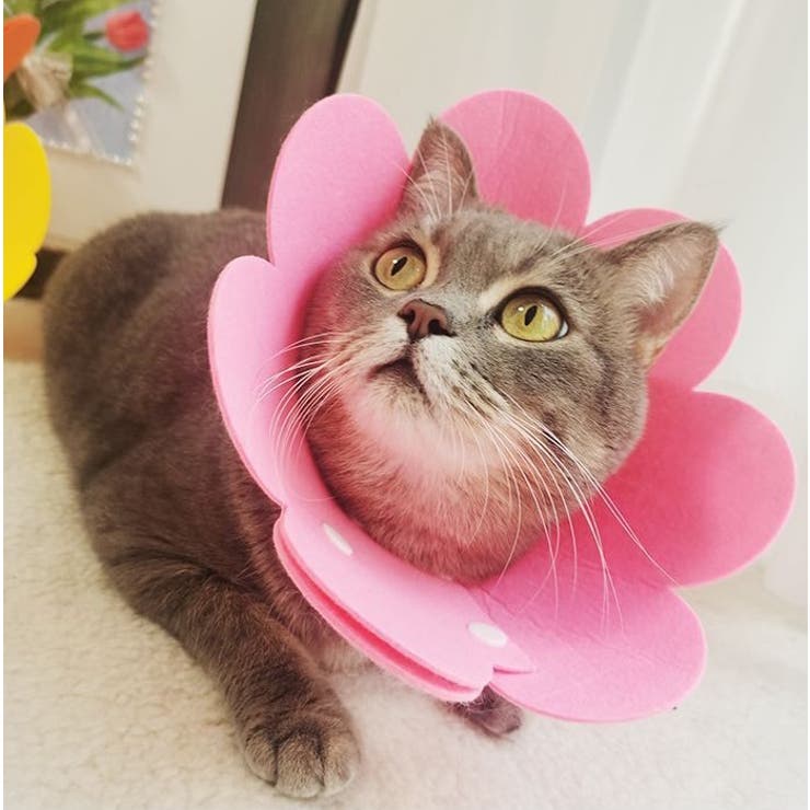 エリザベスカラー 猫用 犬用 | PlusNao | 詳細画像2 